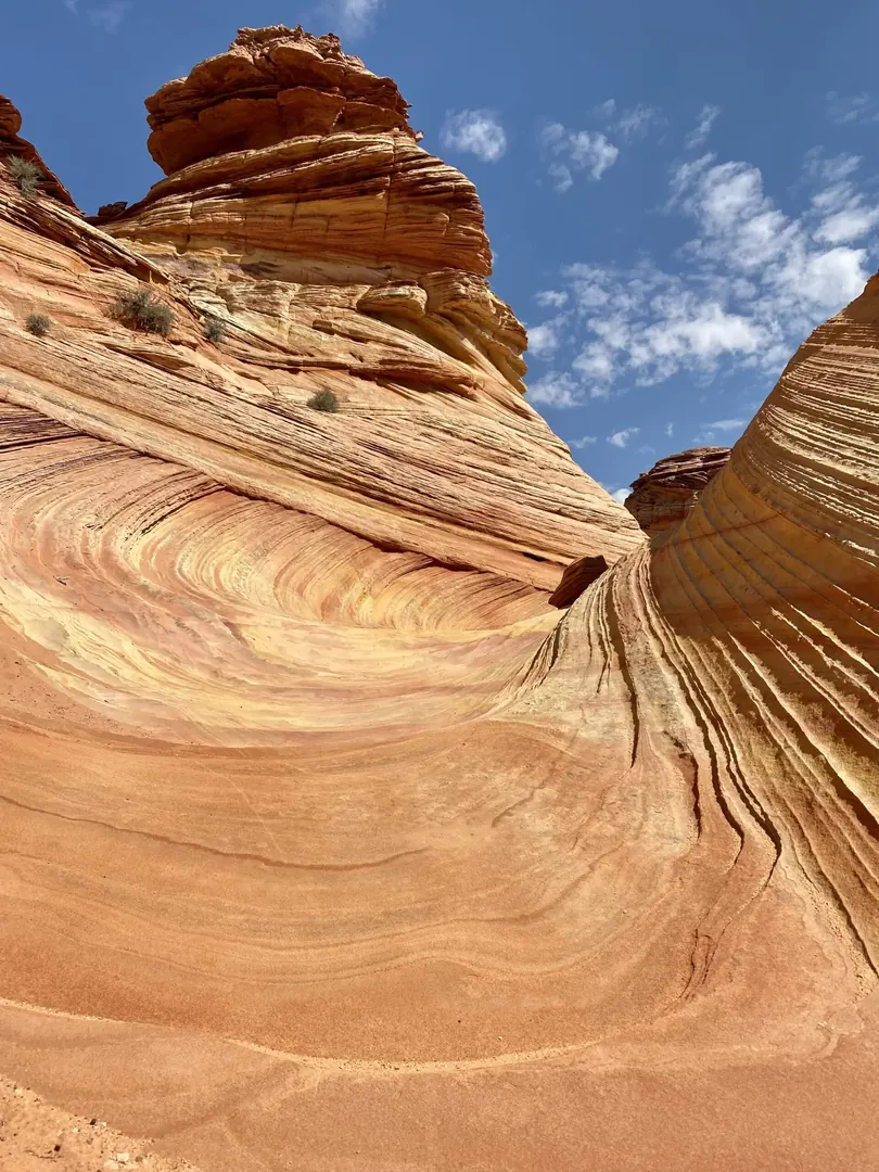 Swirling orange and cream sandstone layers under blue sky at Coyote Buttes South