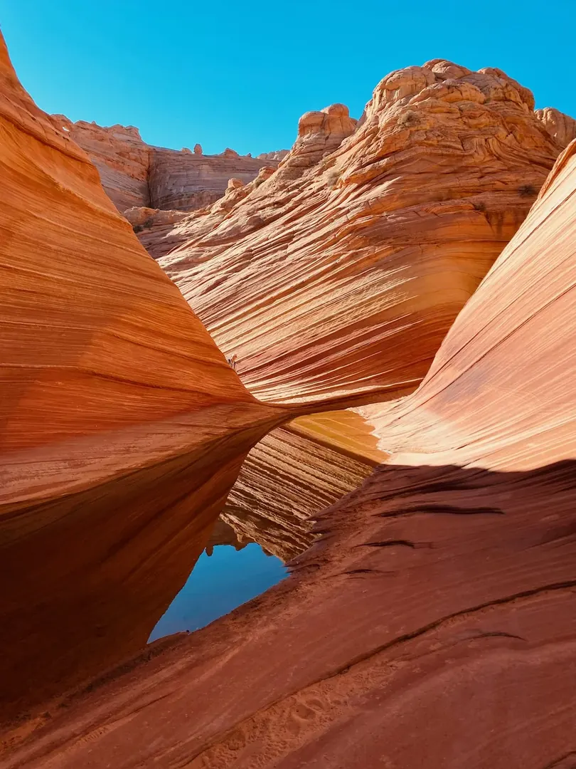 Flowing red and orange sandstone bands of The Wave under a deep blue sky