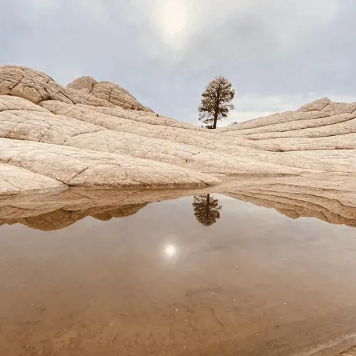 Brain rock at White Pocket