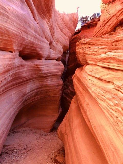 Great Chamber Coral Cliffs Tours Of Kanab