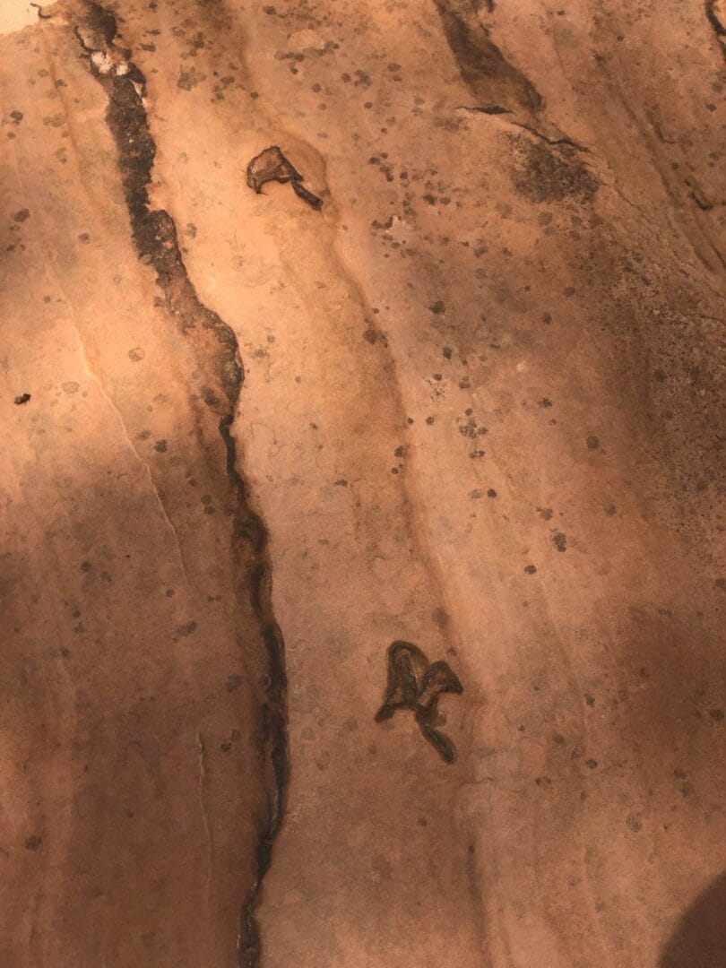 Moccasin Mountain Dinosaur Tracks