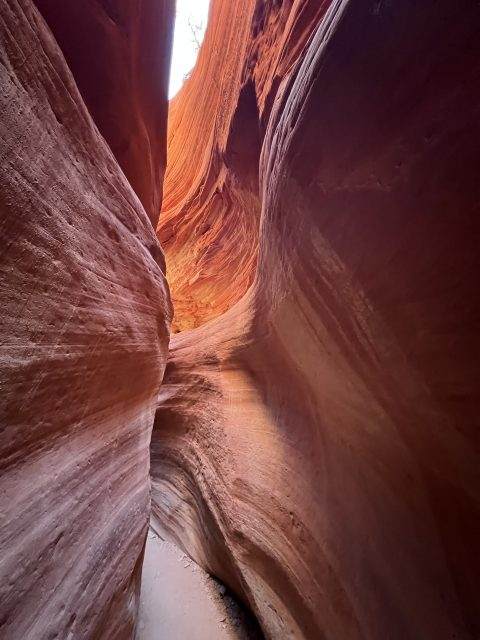 Half Day Jeep Tours In Kanab Coral Cliffs Tours Of Kanab